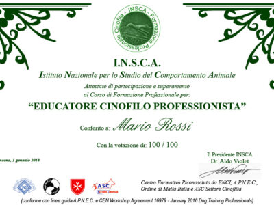 DIPLOMAinsca DIPLOMAinsca