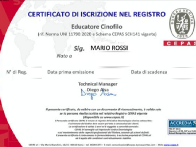 Mario rossi (2) Mario rossi (2)