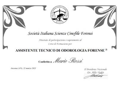 Assistente tecnico di odologia forense Assistente tecnico di odologia forense