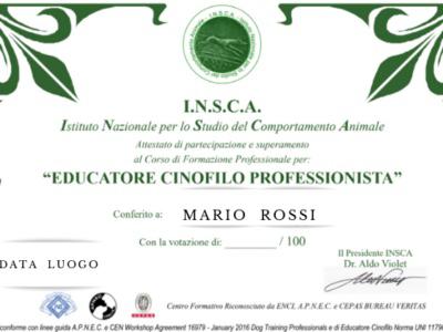 diploma insca