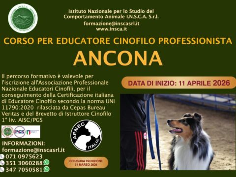 Corso per Educatore Cinofilo Professionista