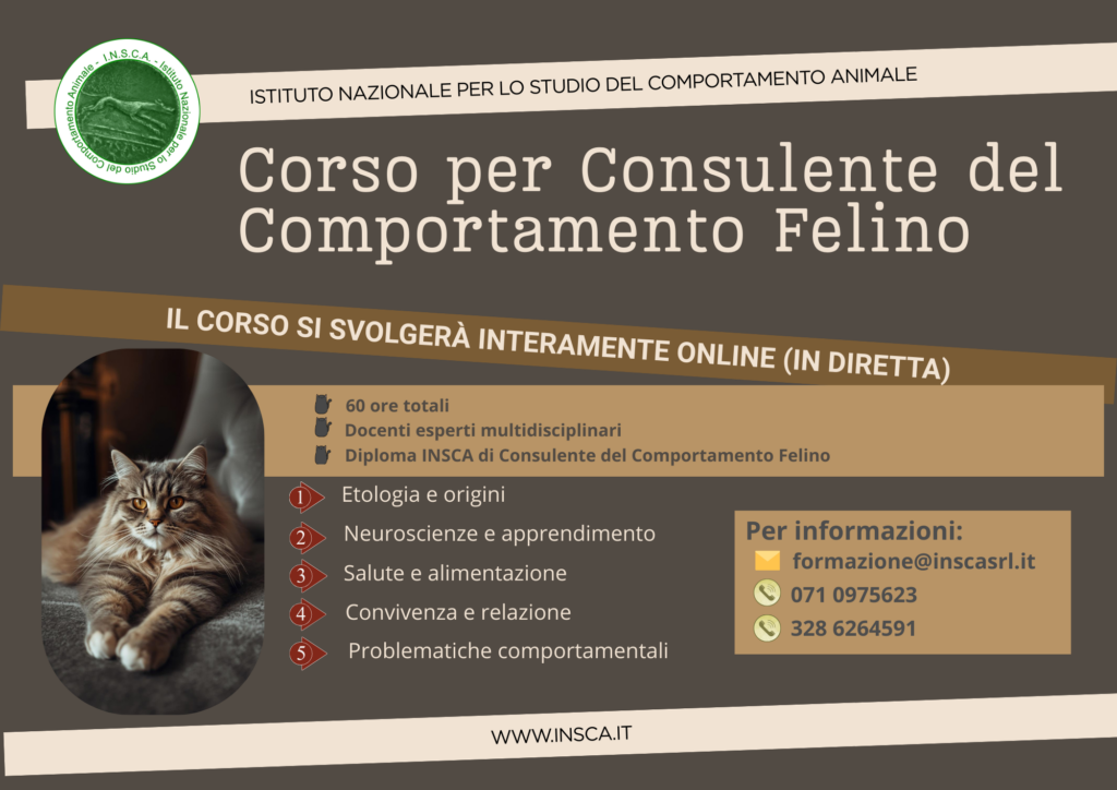 ANCONA: Corso Consulente del Comportamento Felino