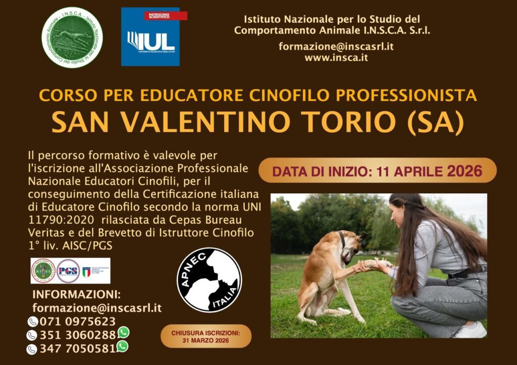 SAN VALENTINO TORIO: Corso Educatore Cinofilo Professionista